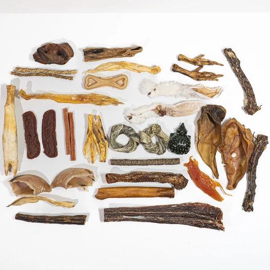 Coffret Mastication - 0% charge mentale, 100% plaisir Visuel 1 principal